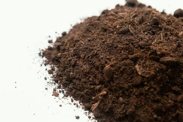 Soil Behavior Image